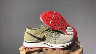 Nike Flyknit Trainer Shoes (9)