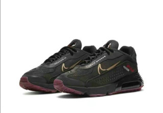Nike Air Max 2090 Shoes (23)