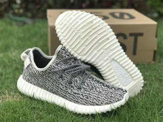 Authentic Y 350 “Turtle Dove”