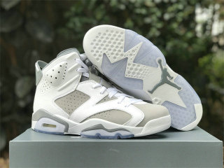 Authentic Air Jordan 6 Cool Grey