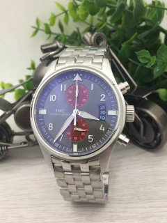 IWC watches (1)