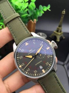 IWC watches (38)