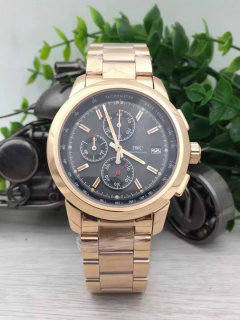IWC watches (16)