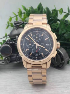 IWC watches (15)