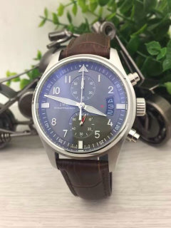 IWC watches (8)