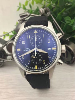 IWC watches (9)