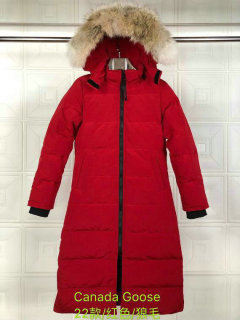C Down Jacket Women (111)