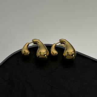 2024.03.25 Bottega Veneta Earrings 014