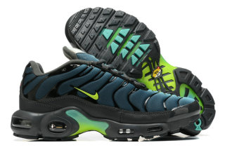 Nike Air Max Plus Shoes (146)