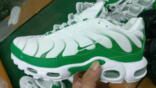 Nike Air Max Plus Shoes (151)
