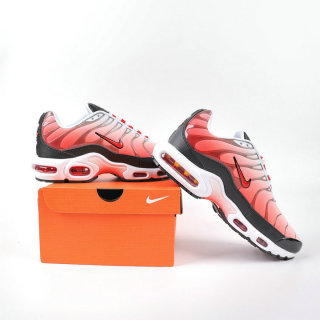 Nike Air Max Plus Shoes (163)