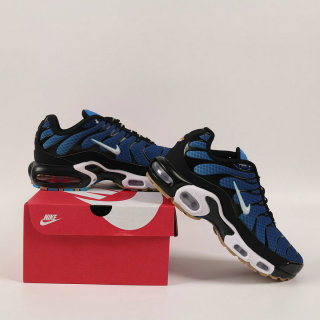 Nike Air Max Plus Women Shoes (83)