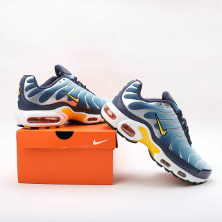 Nike Air Max Plus Women Shoes (84)