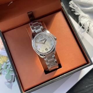 2024.11.01 Coach Watch 30mm 029