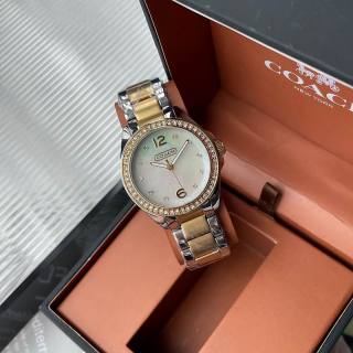 2024.11.01 Coach Watch 30mm 030