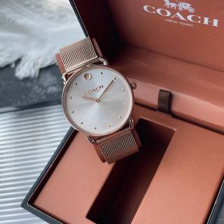2024.11.01 Coach Watch 36mm 036