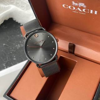 2024.11.01 Coach Watch 36mm 038