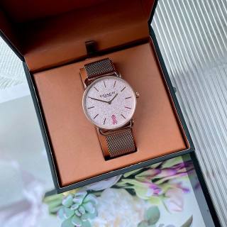 2024.11.01 Coach Watch 36mm 042