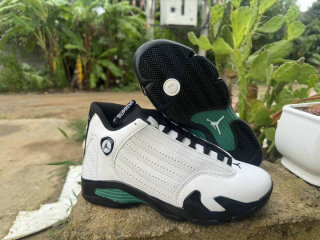 Air Jordan 14 Shoes AAA (37)