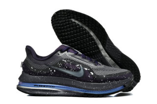 Nike Pegasus Premium SE 2025 (1)