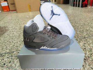 Air Jordan 5 Shoes AAA (134)