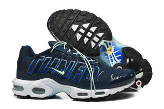 Nike Air Max TN Shoes (45)