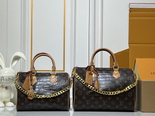 Speedy Handbag (2)