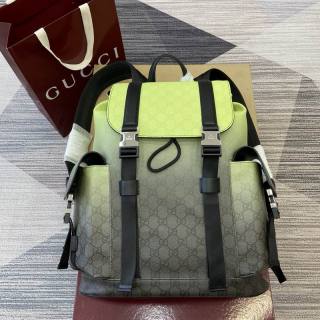Gucci bag 35x46x12cm (1)